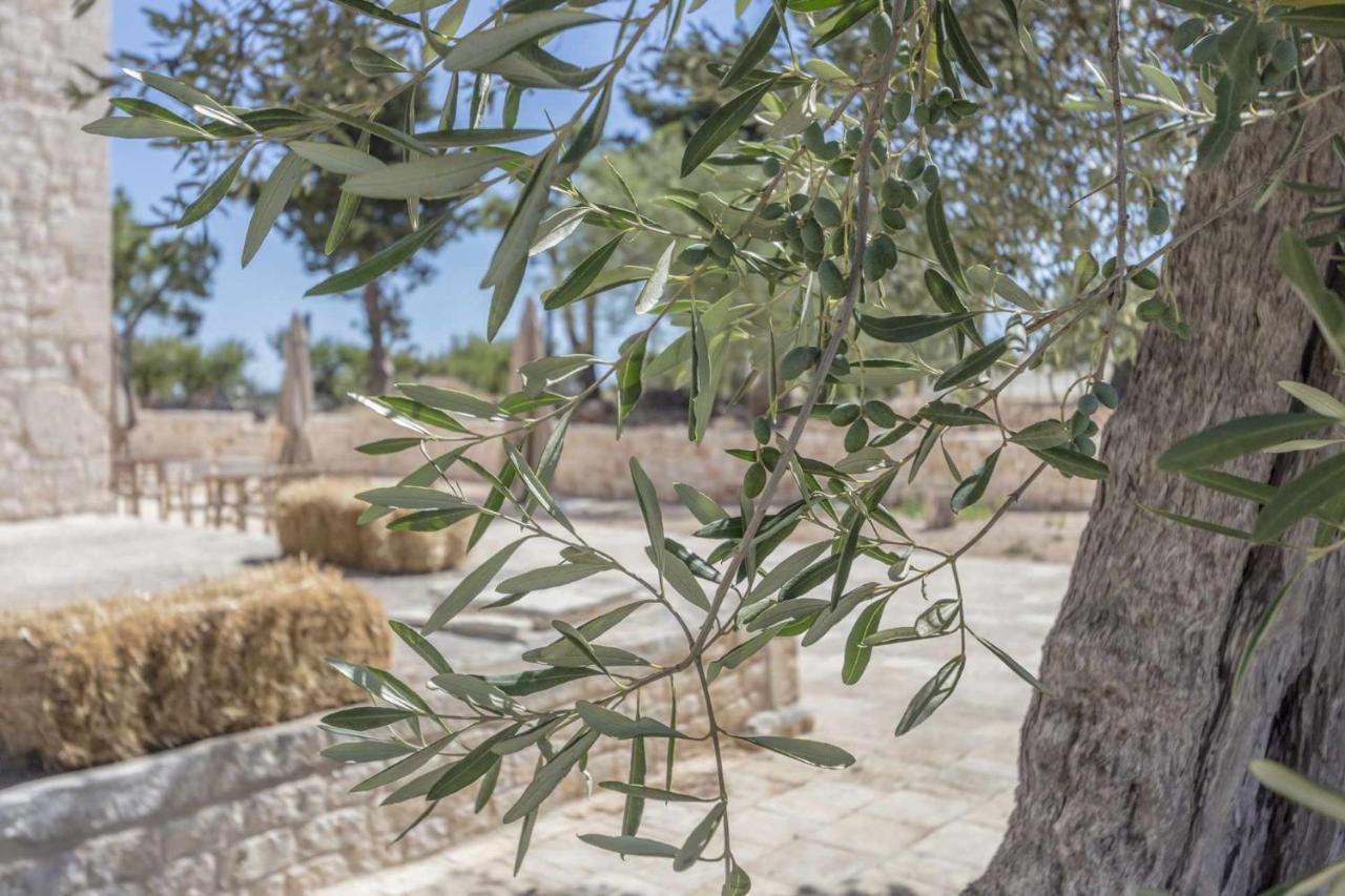 Masseria Fanizzi Conversano Exterior photo